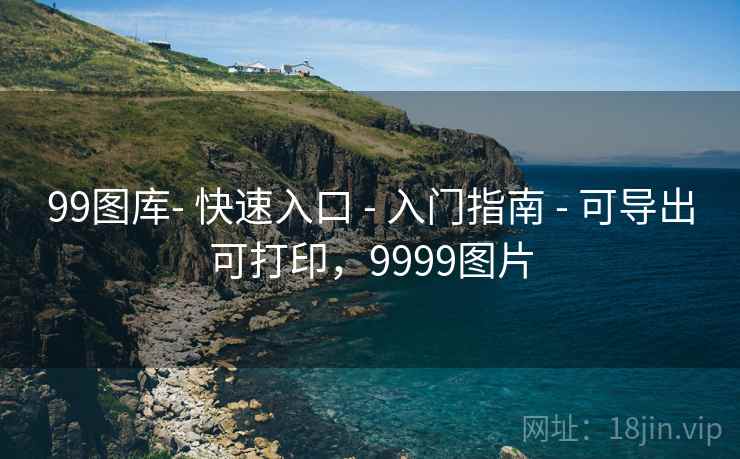 99图库- 快速入口 - 入门指南 - 可导出可打印，9999图片